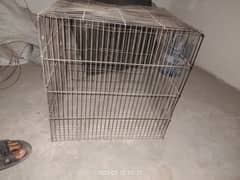 cage for sale