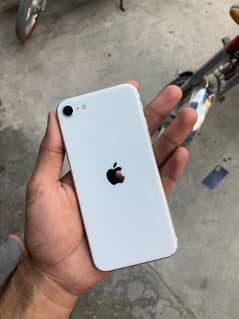 Apple iPhone SE 2020     (64gp)