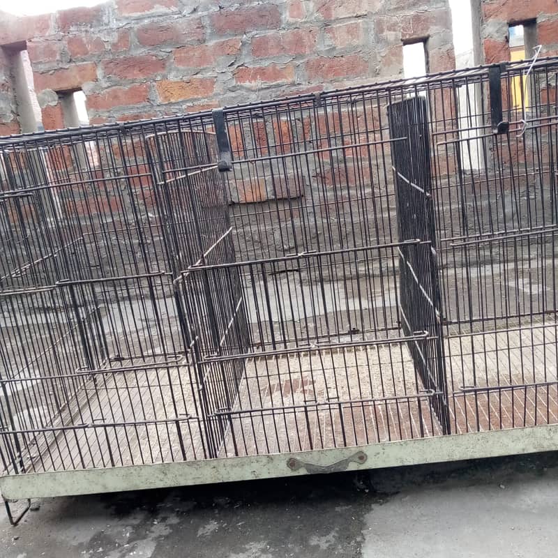 Bird Cage 1 one Condition (AliCage) 3