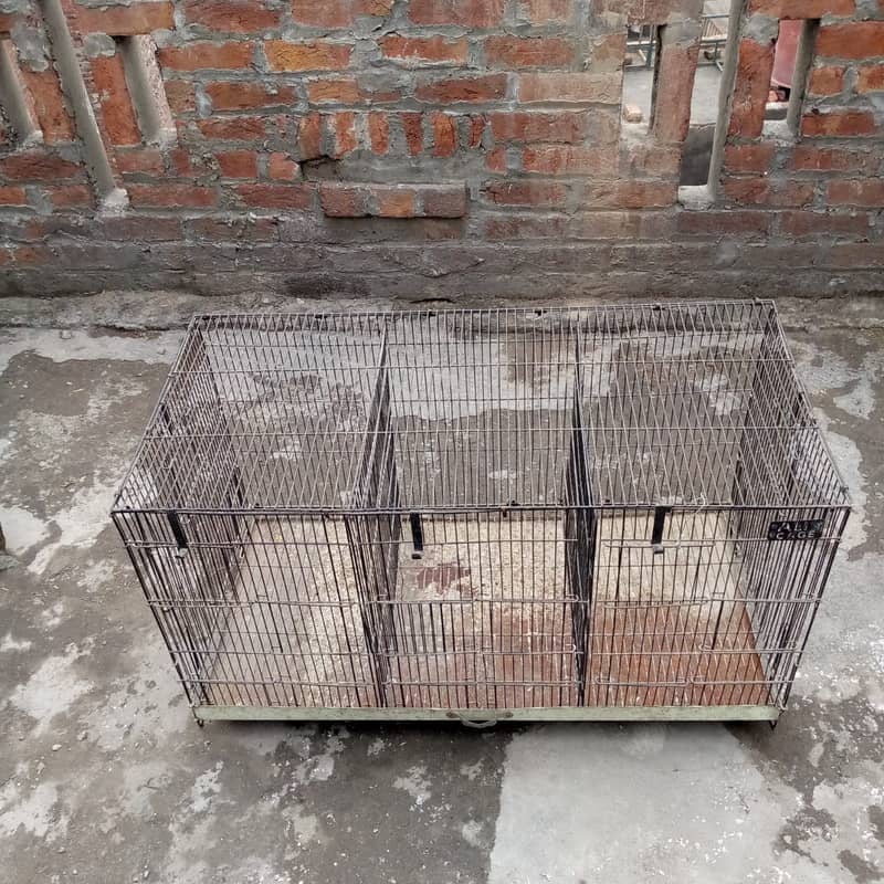 Bird Cage 1 one Condition (AliCage) 4