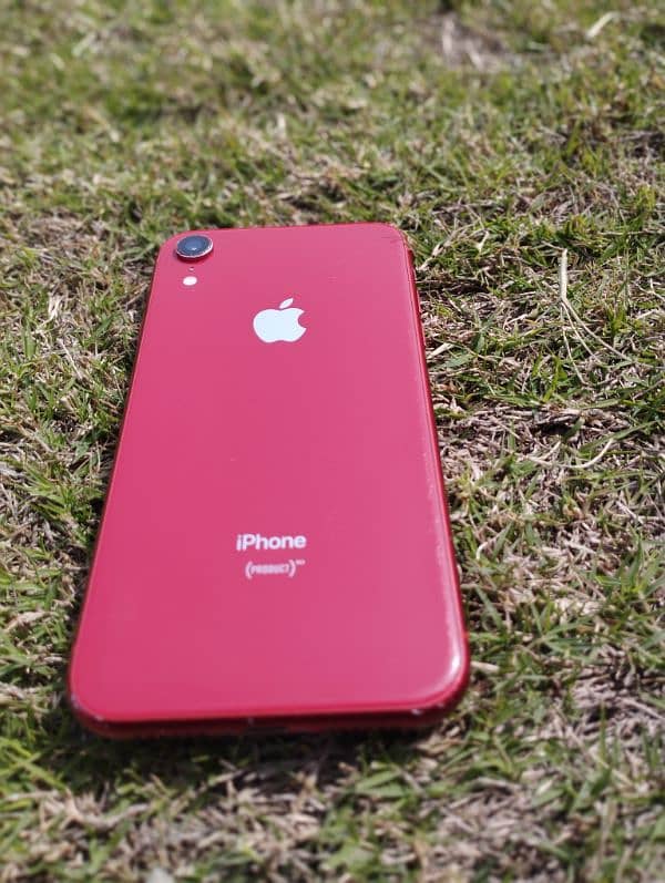 iphone xr 2