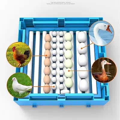 HHD / Intelignt / Yewan / incubator / Egg Hathing & controllers /Part 7