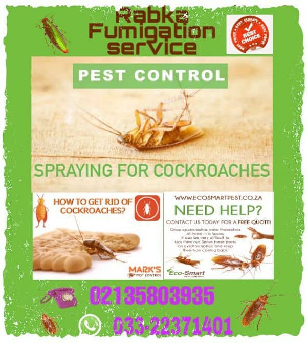 Pest Control All Insects Good Services Provider 4