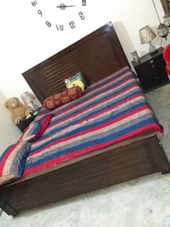 dabel bed. 031055955.63 ipy rabta kry