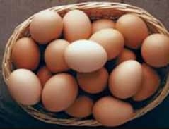 Aseel Heera | Heera | Heera Egg | White eyes Aseel Heera Chicks nd egg