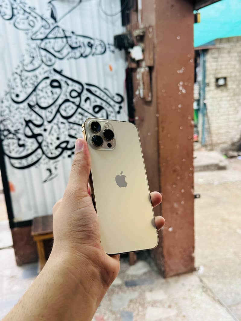 iphone 13 Pro Max 128GB SheeshA Condition Waterpack 6