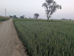 Agricultural