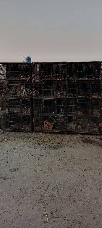 cage for sale 0