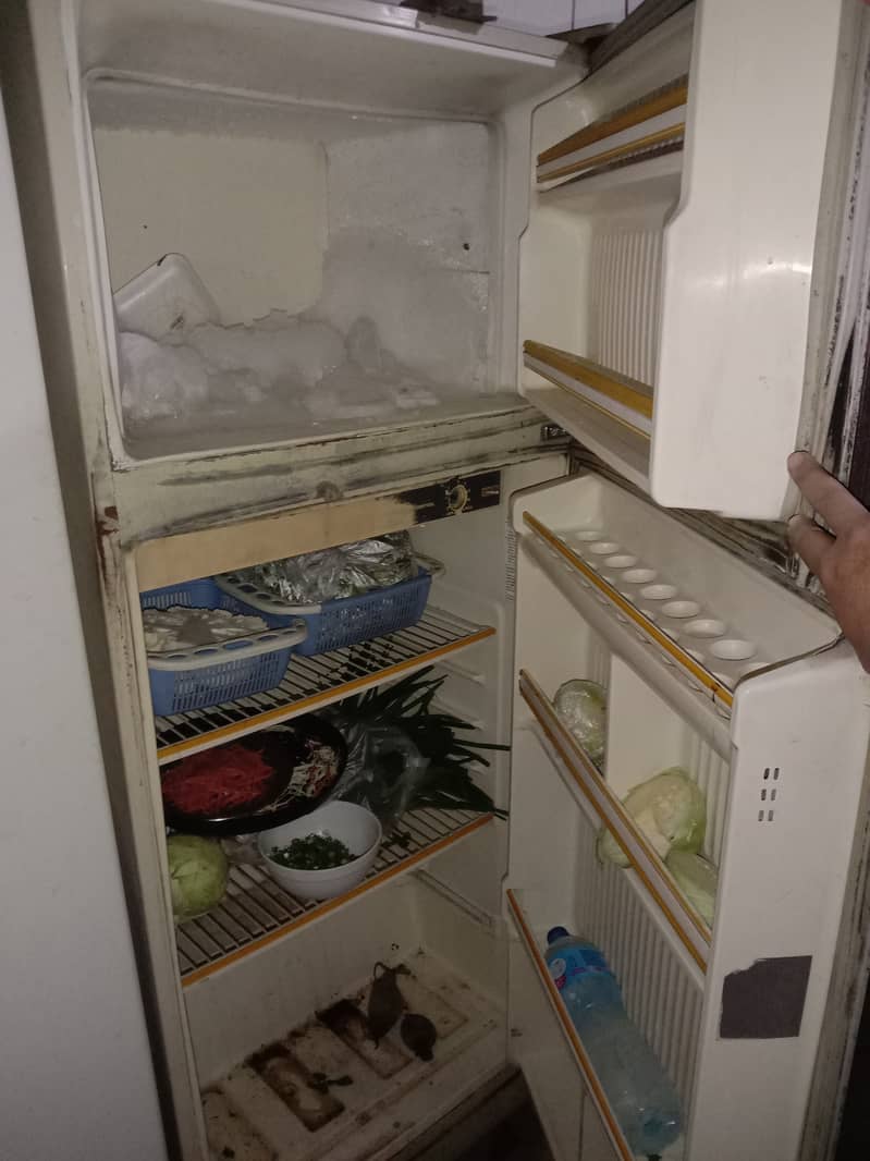 Freezers for Sale Working Conditions 6