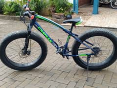 Caspian fat tyre bike