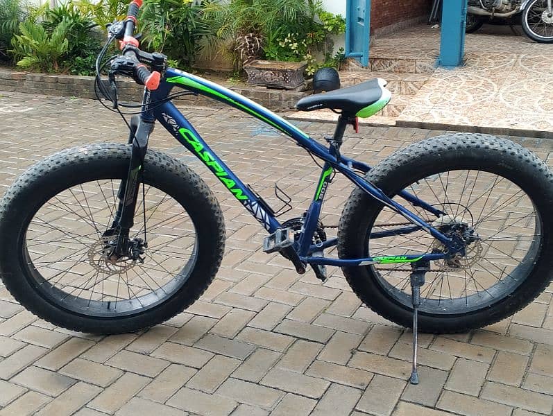 Caspian fat tyre bike 0