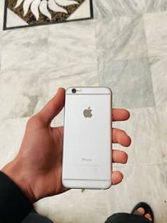 iphone 6 pta