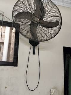 fan