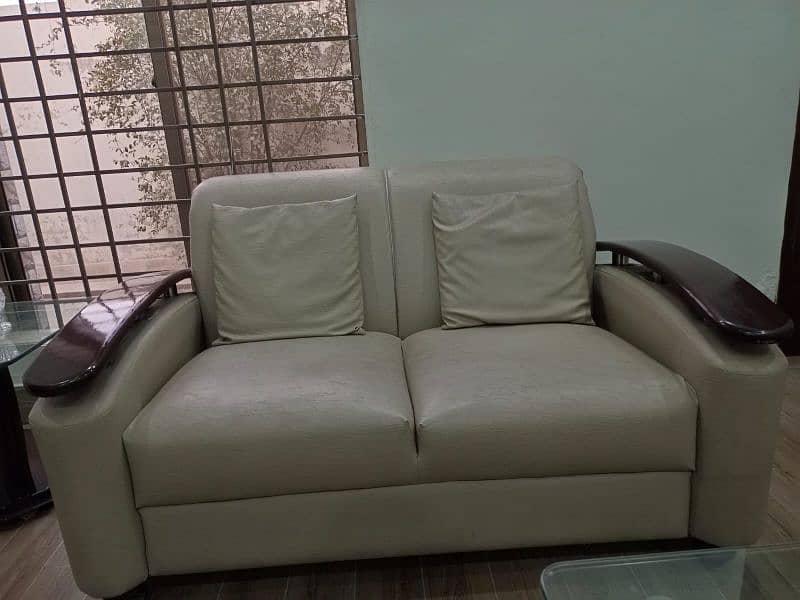 Sofa Set + Cushions Included Leather Coat and Wood Work 3