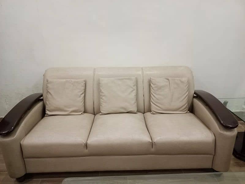 Sofa Set + Cushions Included Leather Coat and Wood Work 4