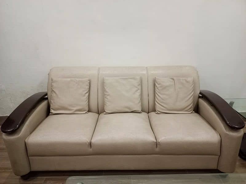 Sofa Set + Cushions Included Leather Coat and Wood Work 5