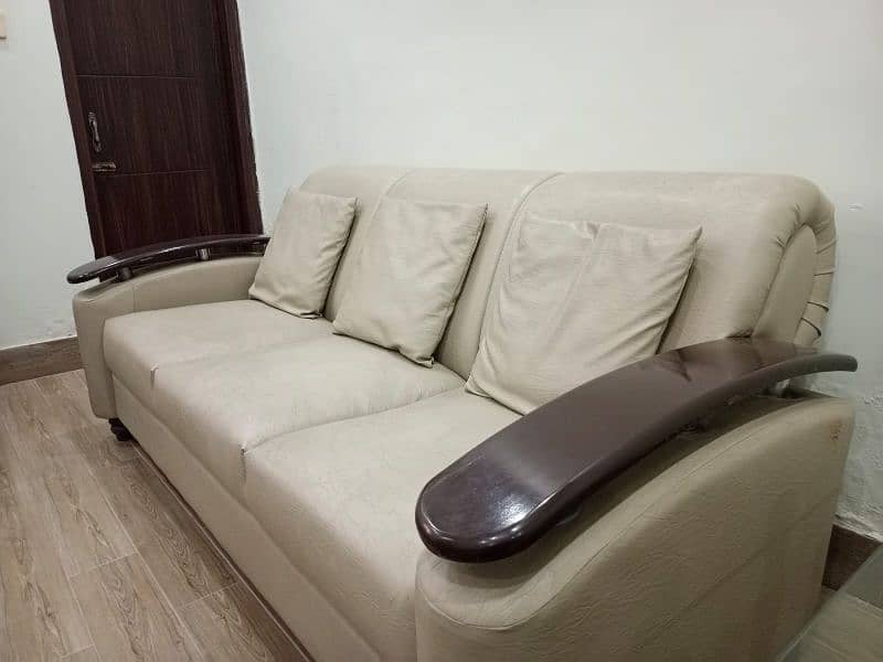 Sofa Set + Cushions Included Leather Coat and Wood Work 6