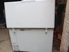 Haier Freezers