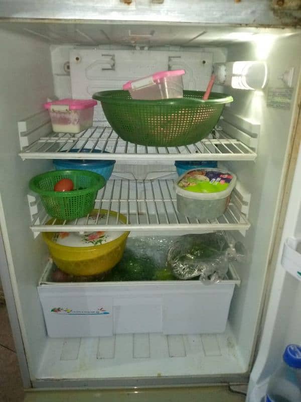 fridge 6