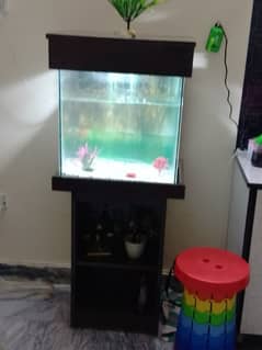 5 fish and moter with new teble 11000