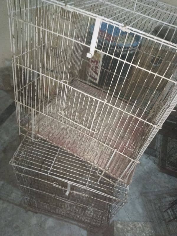 birds cage and box for sale 0