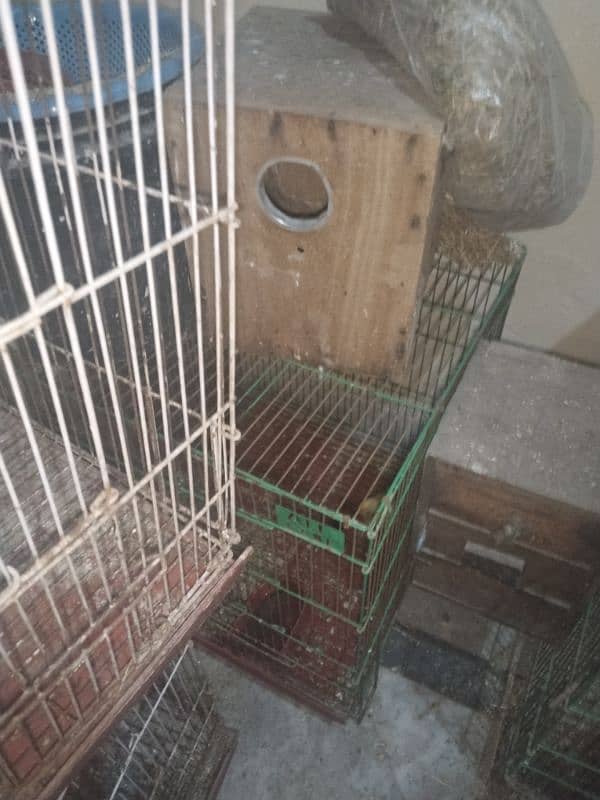 birds cage and box for sale 1