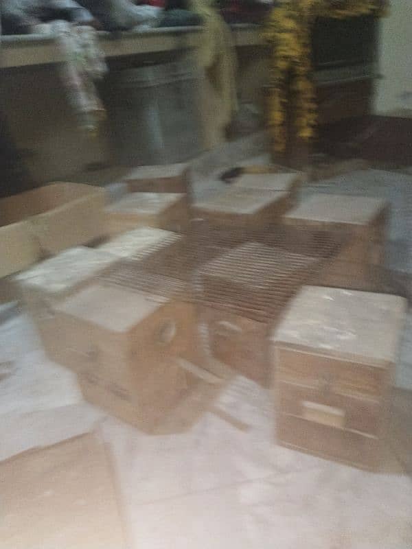 birds cage and box for sale 2