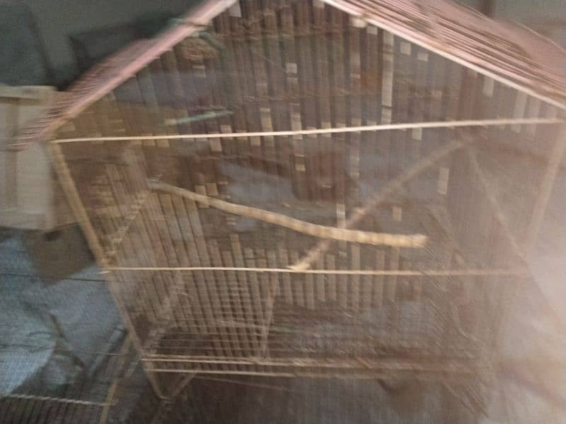 birds cage and box for sale 3