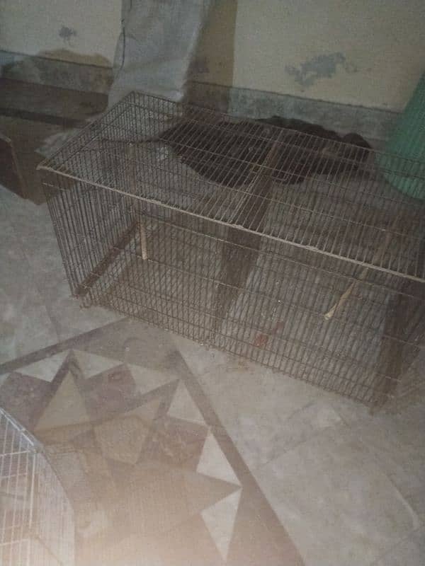 birds cage and box for sale 4