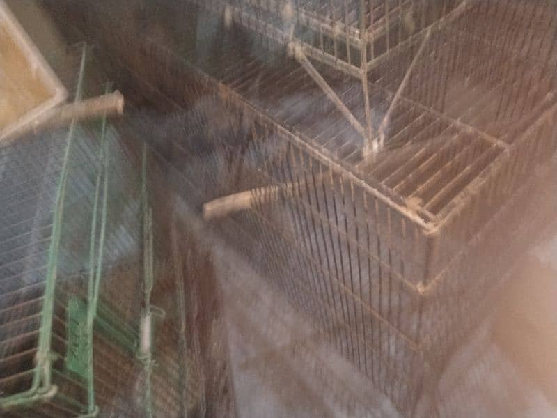 birds cage and box for sale 5