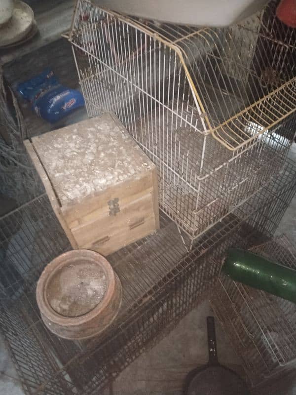 birds cage and box for sale 6