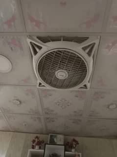 False ceilling fan for sale 03499253763