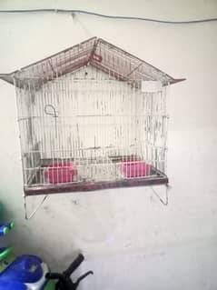 birds cage