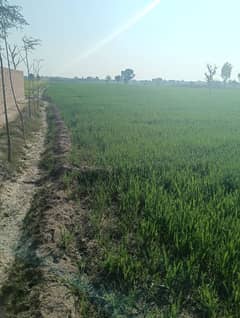 200 kanal land nehari sale HEAD MUHAMMAD WALA MULTAN