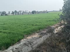 1200 kanal sale khanewal nehari from Multan 50 km