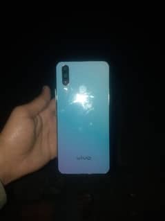 vivo