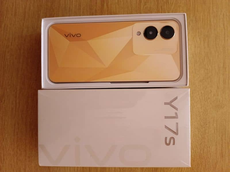 Vivo Y17s 4+1/128GB 6