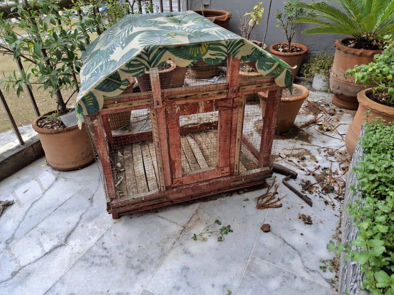 solid wood cage 3x3x2.5 2