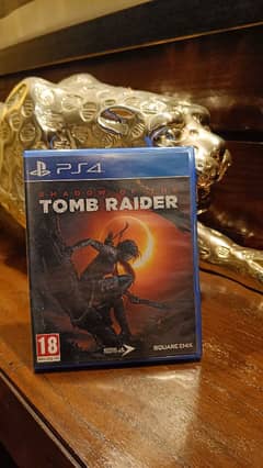 Shadow Of The Tomb Raider in 10/10 Condition