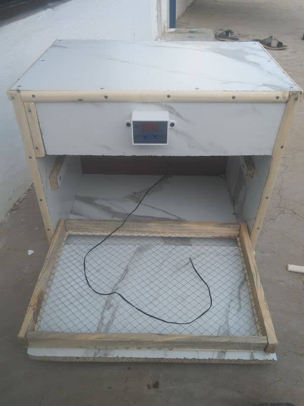 eggs incubator 7