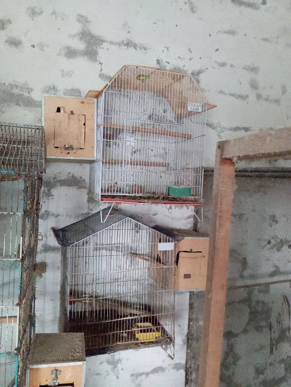 cages and boxes 1