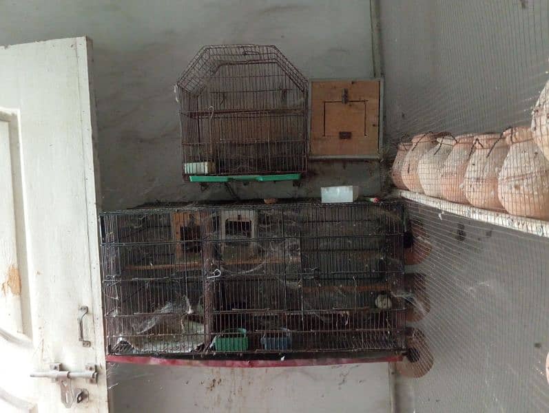 cages and boxes 3