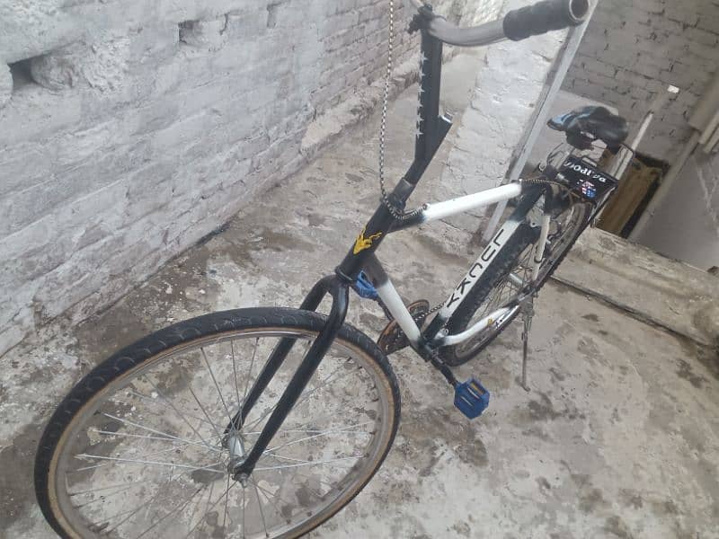 Phoenix cycle for sale in good condition 6