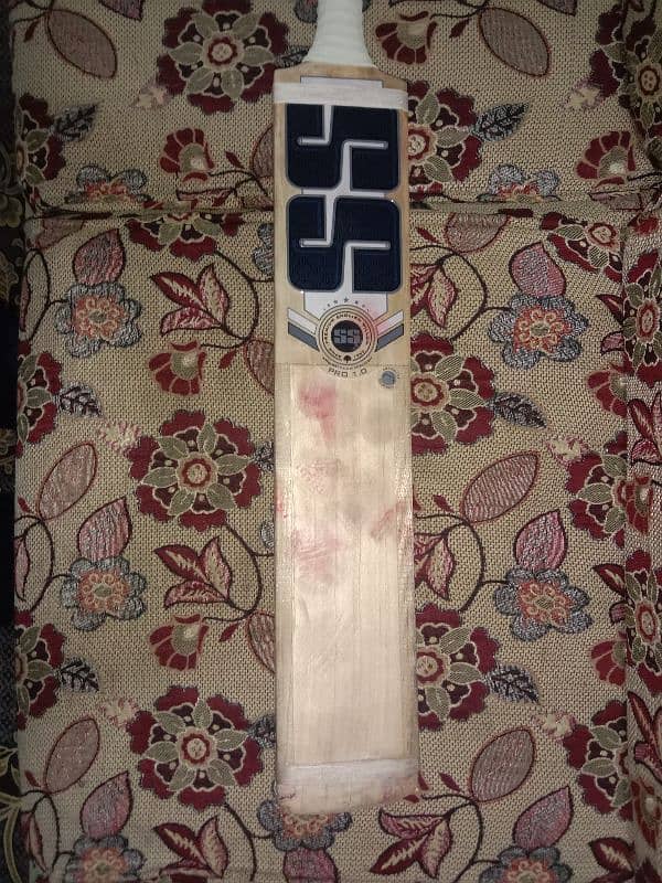 cricket bat 0