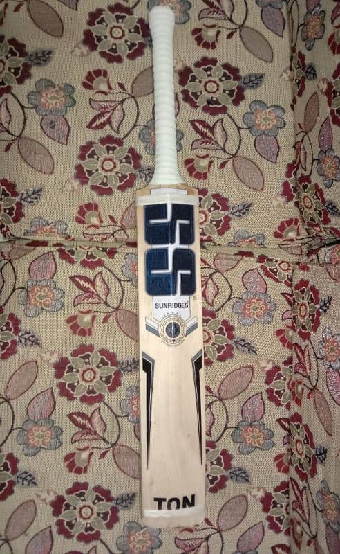 cricket bat 1