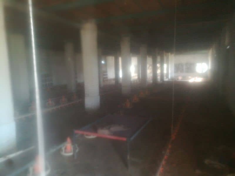 poultry farm for rent 2