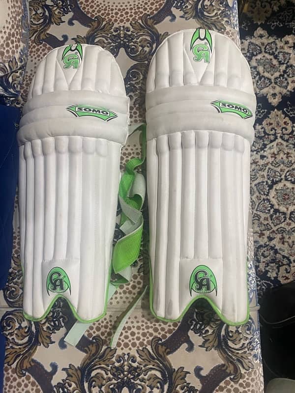 cricket full kit 2