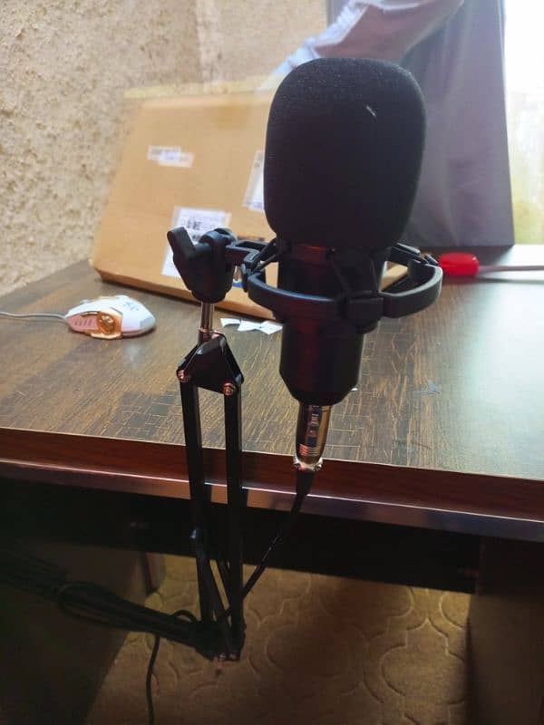 BM 800 condenser mic full setup 2