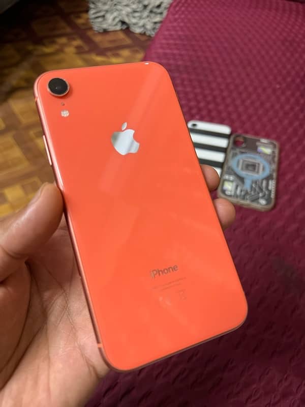 iphone XR Pta approved 1