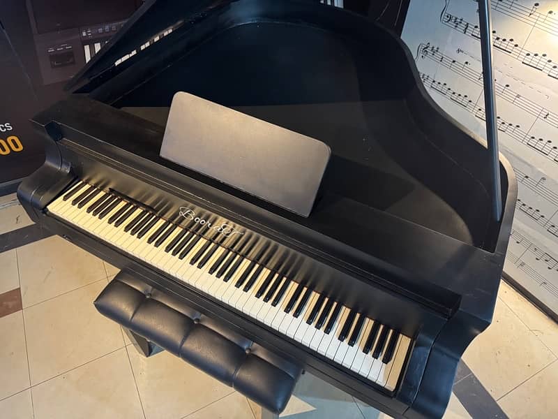 Digital piano available for  / rent /and shoot 2